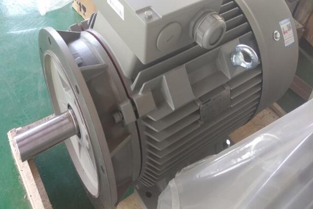 減速單相電機(jī)是哪種類型的電機(jī)？