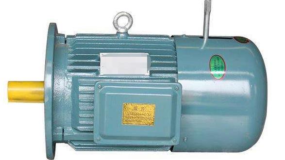 電機震動肚子減肥真的有效嗎？