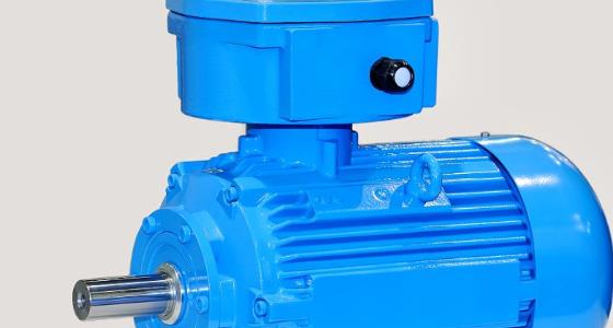 電機(jī)銘牌上怎么看防爆等級(jí)？防爆等級(jí)怎么認(rèn)？