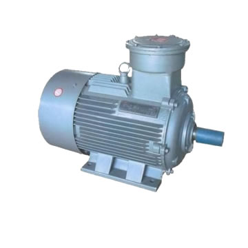 低壓防爆電機(jī)有哪些型號(hào)？主要特點(diǎn)是什么？