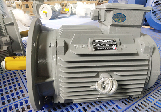 冷卻塔專用電機(jī)異常噪聲分析